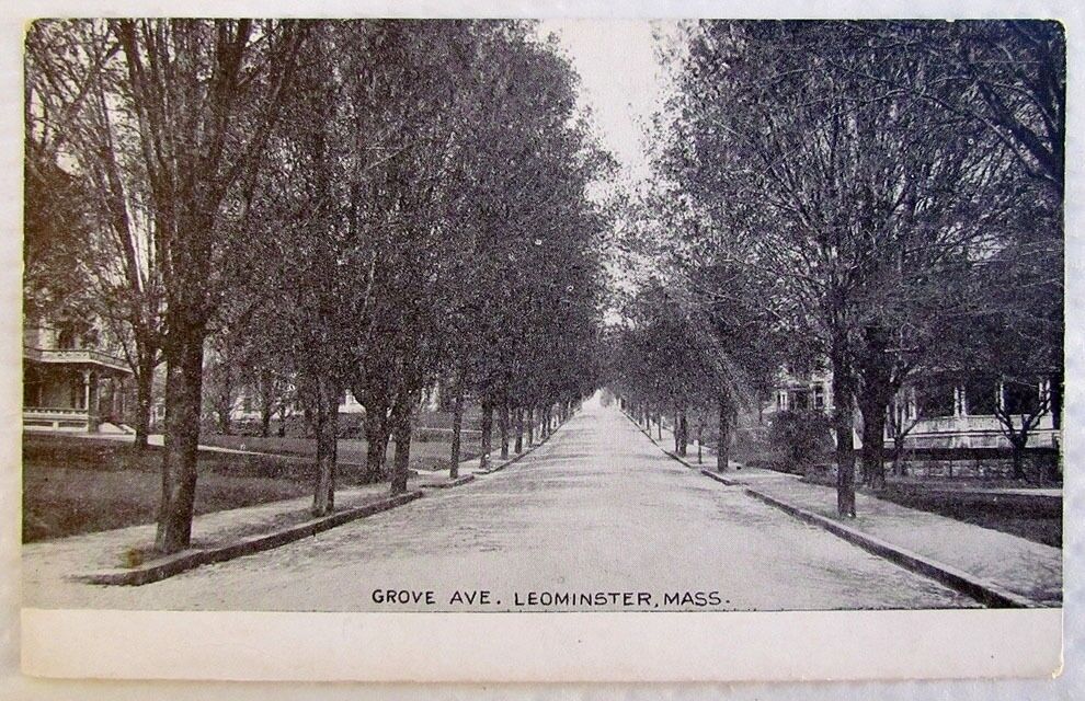 ANTIQUE POSTCARD - GROVE AVENUE LEOMINSTER MA