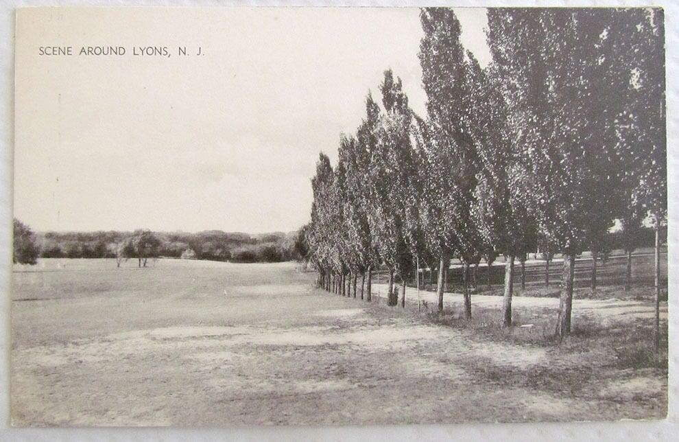 SCENE AROUND LYONS N.J. VINTAGE POSTCARD