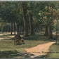 WILKES-BARRE PA RIVER COMMON ANTIQUE POSTCARD
