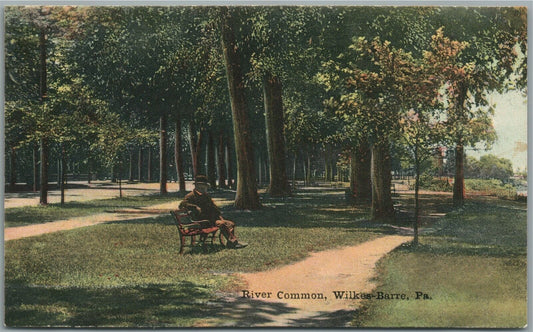 WILKES-BARRE PA RIVER COMMON ANTIQUE POSTCARD