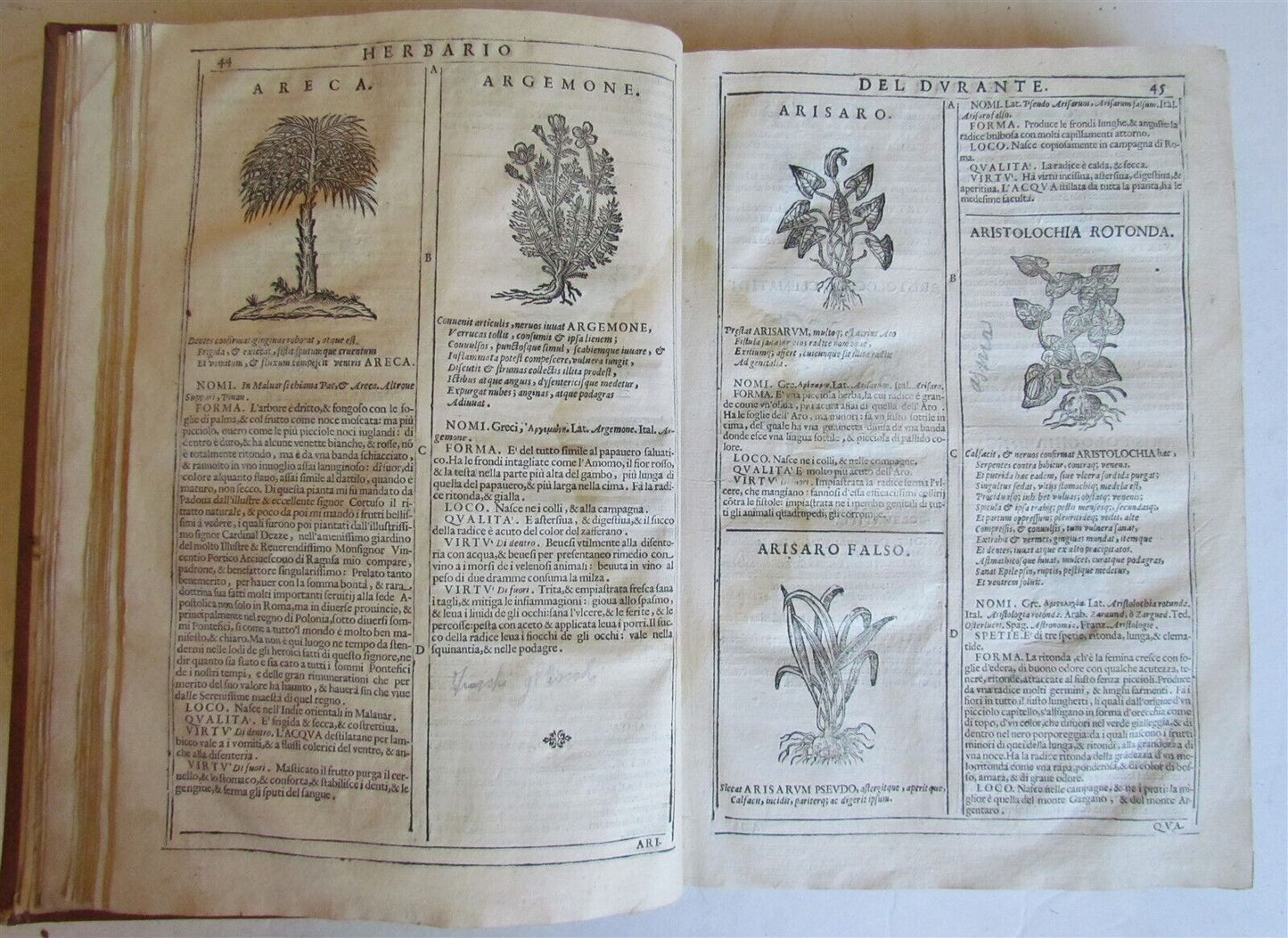 1667 HERBARIO NOVO by Castore DURANTE antique PLANTS BOTANY FULLY ILLUSTRATED