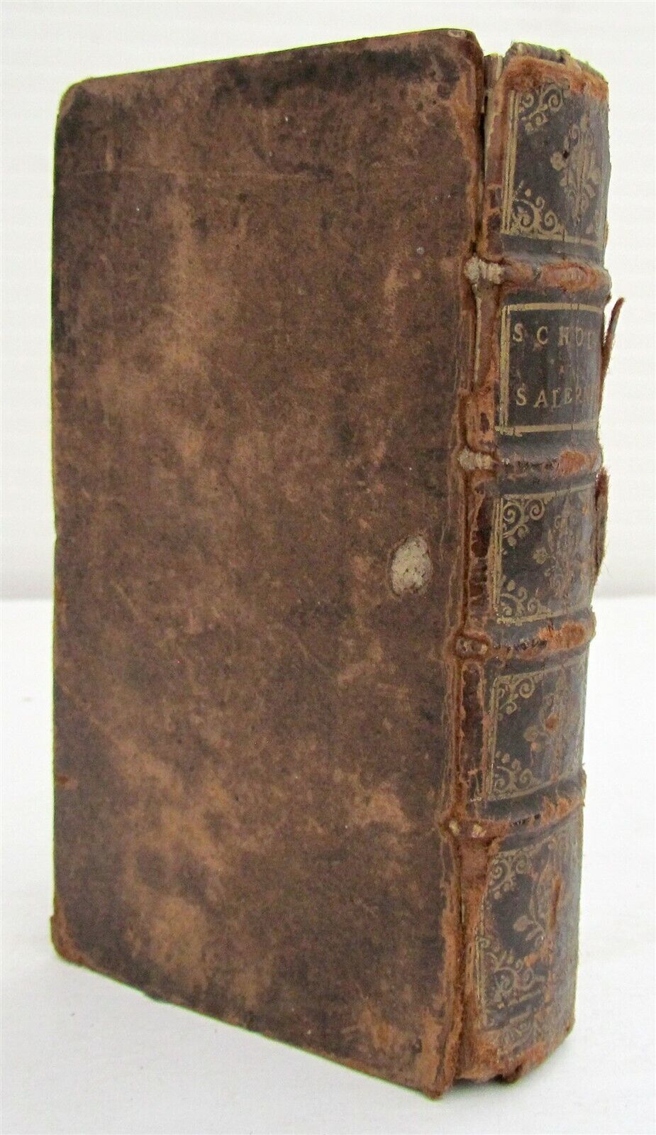 1667 MEDICAL Joannes de MEDIOLANO Schola Salernitana antique