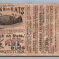 JERSEY CITY NJ ROUGH on RATS VICTORIAN TRADE CARD