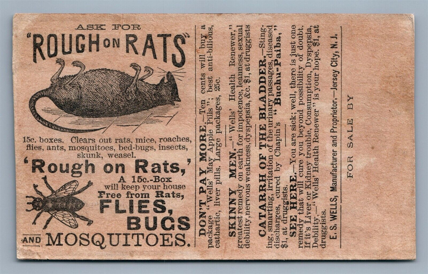 JERSEY CITY NJ ROUGH on RATS VICTORIAN TRADE CARD