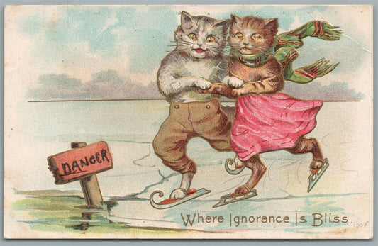 DRESSED CATS ICE SKATING ANTIQUE POSTCARD