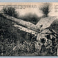 LONG REACHED GERMAN GUN ANTIQUE WWI POSTCARD artillery