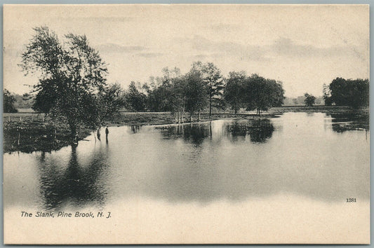 PINE BROOK NJ THE SLANK ANTIQUE POSTCARD