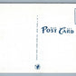 AVON INN NY ANTIQUE POSTCARD