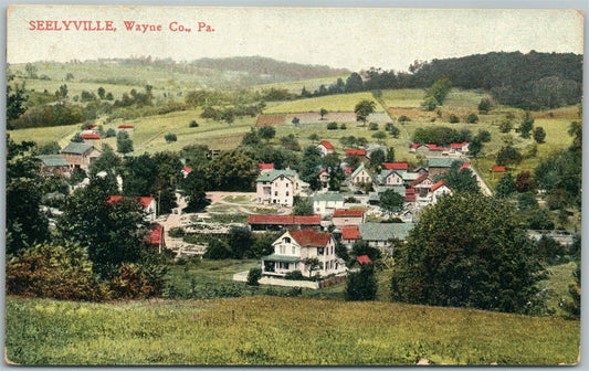 SEELYVILLE WAYNE COUNTY PA 1909 ANTIQUE POSTCARD