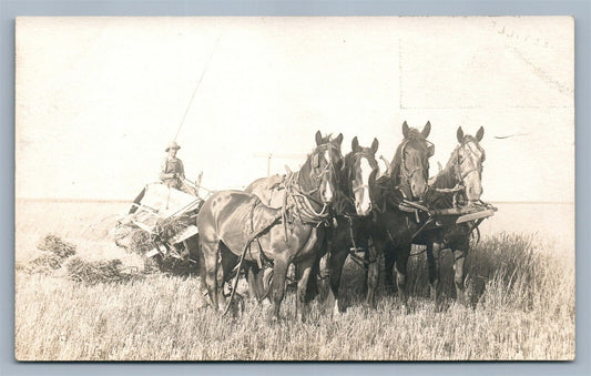 HARVESTING SCENE ANTIQUE REAL PHOTO POSTCARD RPPC farming agriculture horses