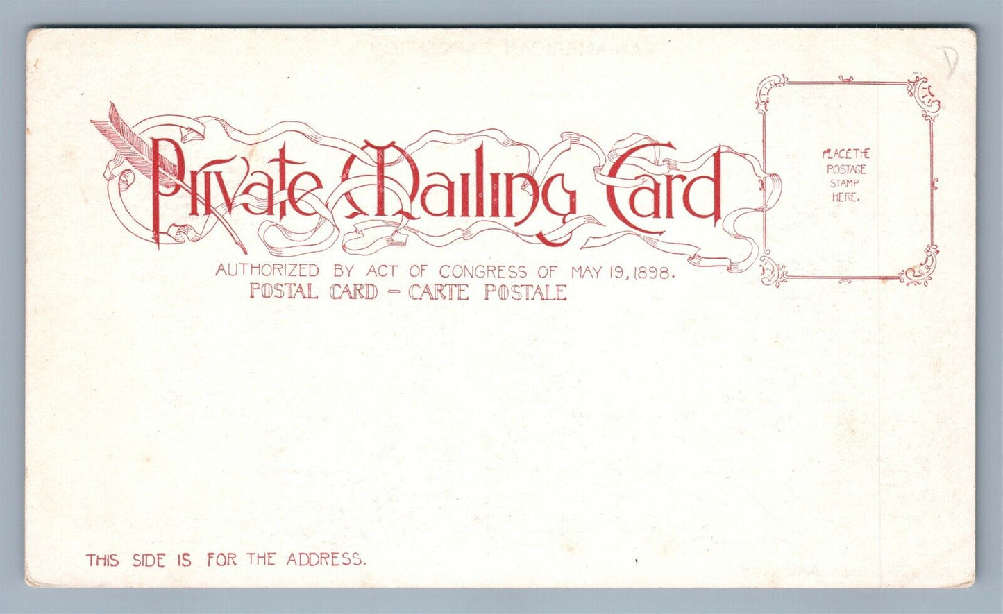 PAN AMERICAN EXPOSITION TRIUMPHAL BRIDGE PRIVATE MAILING CARD ANTIQUE POSTCARD