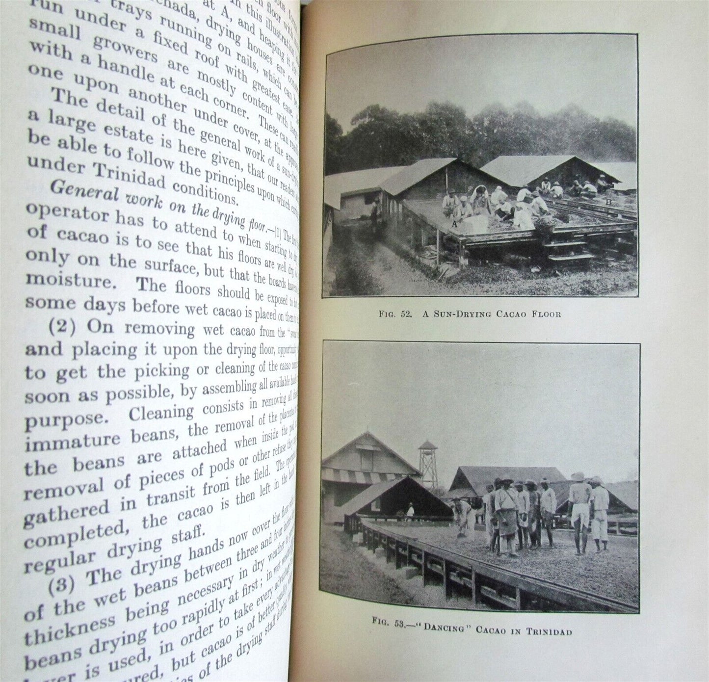 1911 CACAO Manual on the Cultivation and Curing ILLUSTRATED antique