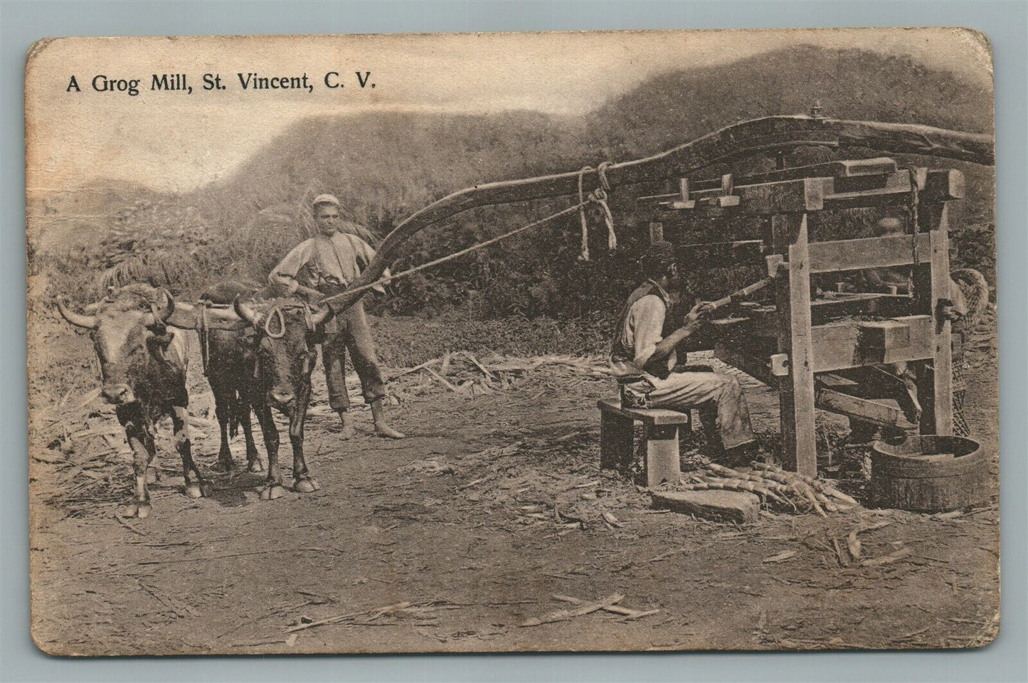 ST.VINCENT PORTUGAL GROG MILL ANTIQUE POSTCARD