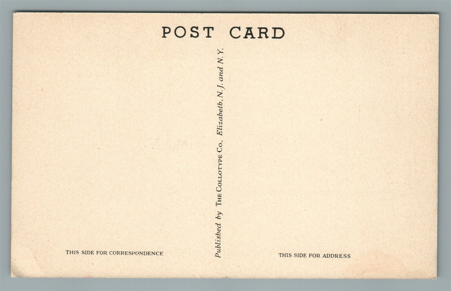 BROWNS MILLS NJ MIRROR LAKE AT THE DAM ANTIQUE POSTCARD