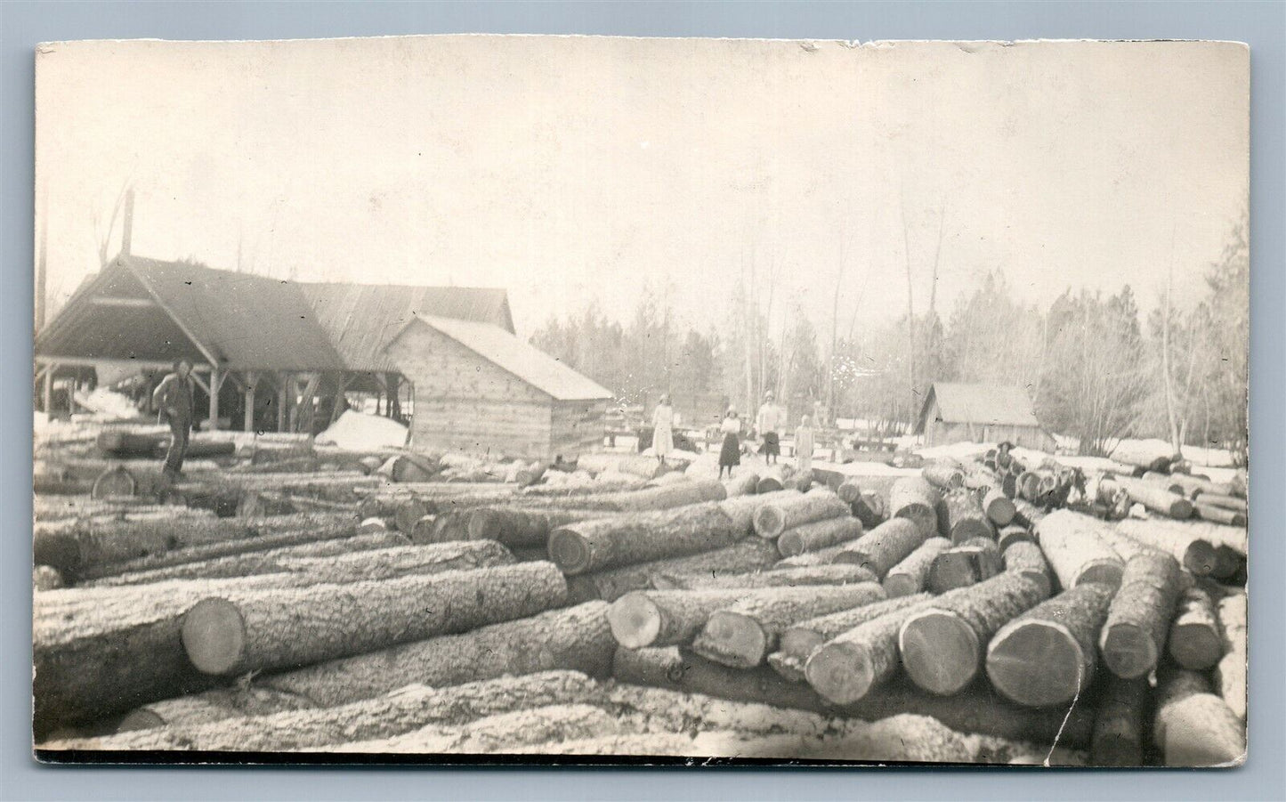 LUMBER SCENE ANTIQUE REAL PHOTO POSTCARD RPPC