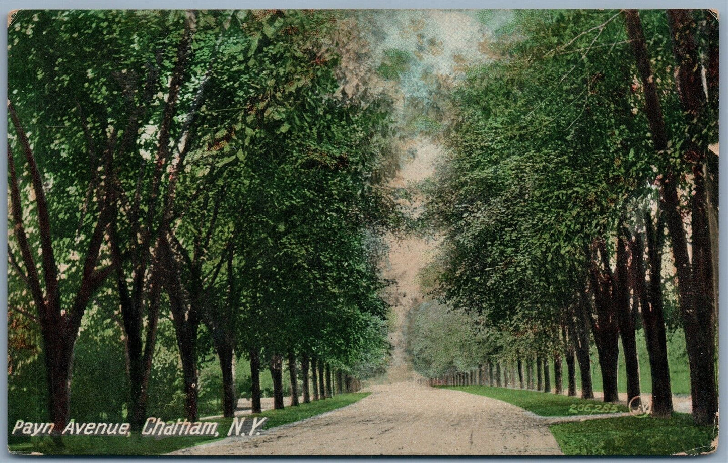 CHATHAM NY PAYN AVENUE ANTIQUE POSTCARD