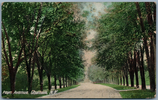 CHATHAM NY PAYN AVENUE ANTIQUE POSTCARD