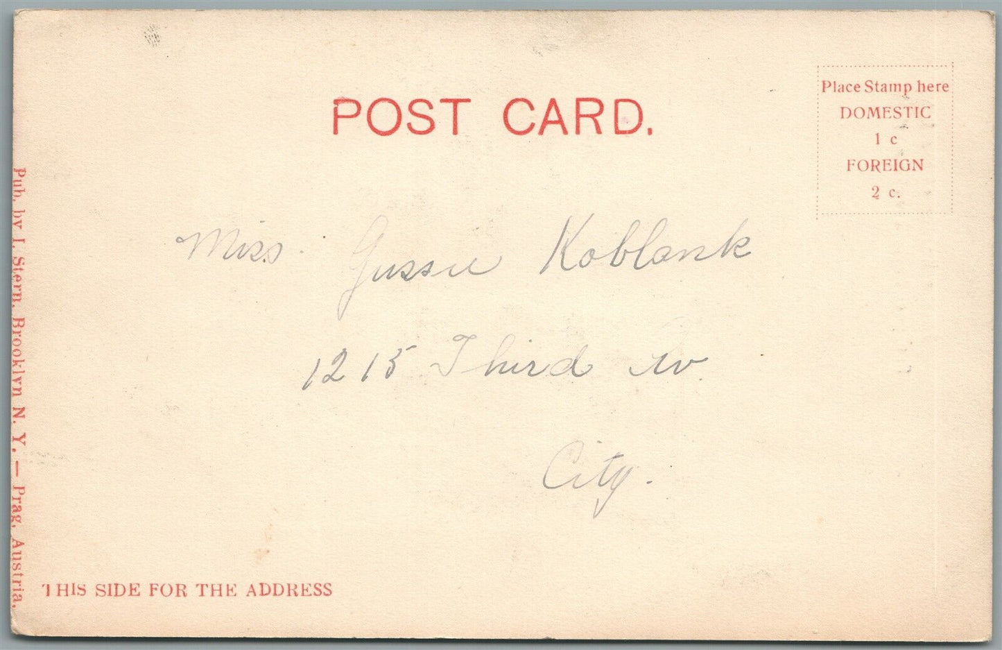 BROOKLYN NY PROSPECT PARK ANTIQUE POSTCARD