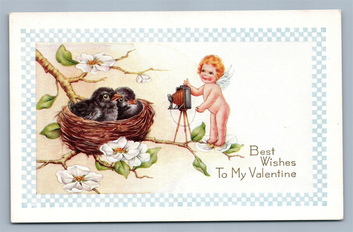 VALENTINE EMBOSSED ANTIQUE POSTCARD CUPID w/ PHOTO CAMERA