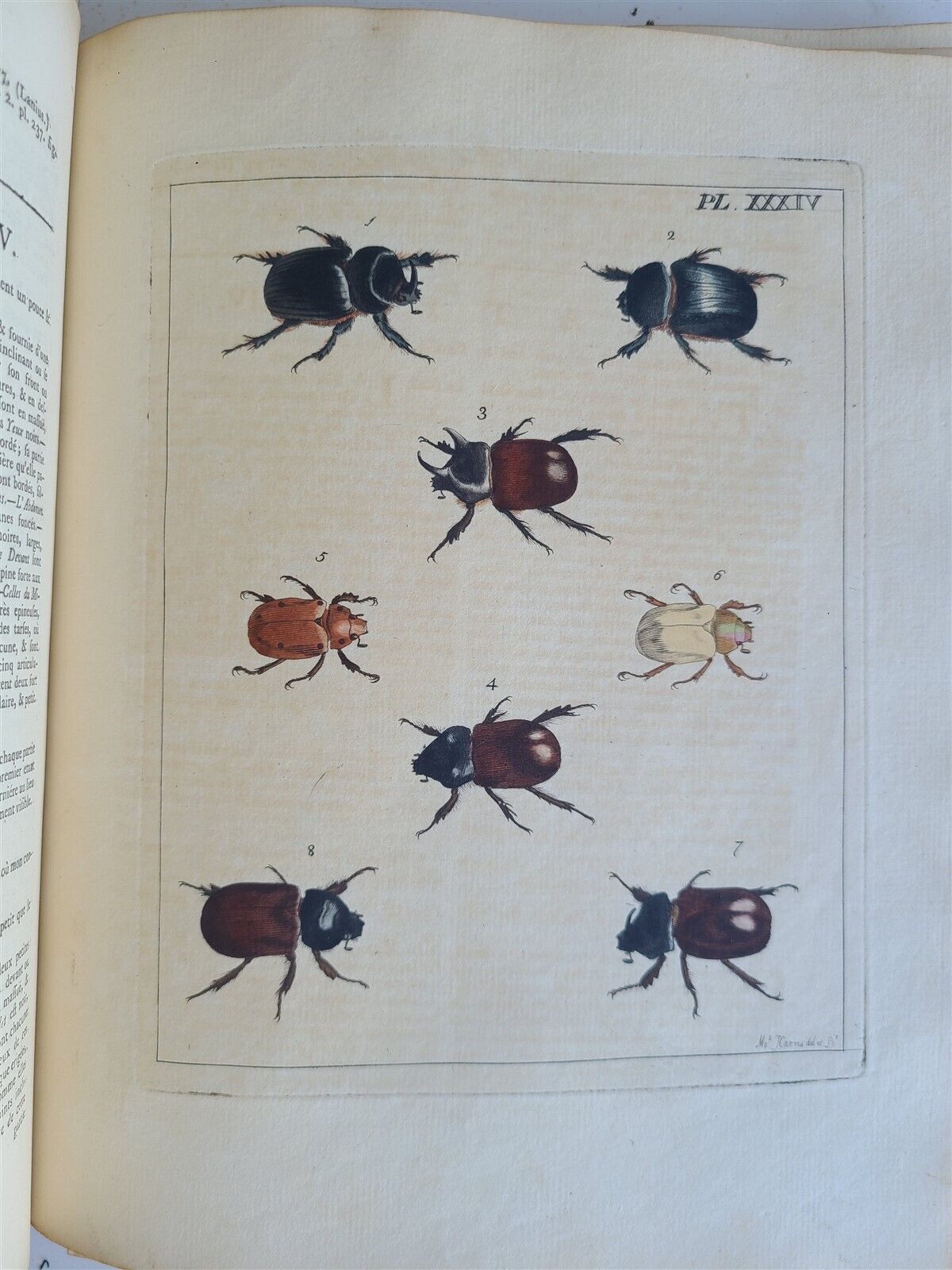 1770 ILLUSTRATIONS of NATURAL HISTORY of EXOTIC INSECTS by D.DRURY antique RARE