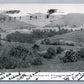 WILLIAMSTOWN MA GREYLOCK MOUNTAIN FROM STONE HILL PRIVATE MAIL ANTIQUE POSTCARD