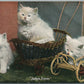 WHITE KITTENS BABY'S PRAMS ANTIQUE POSTCARD