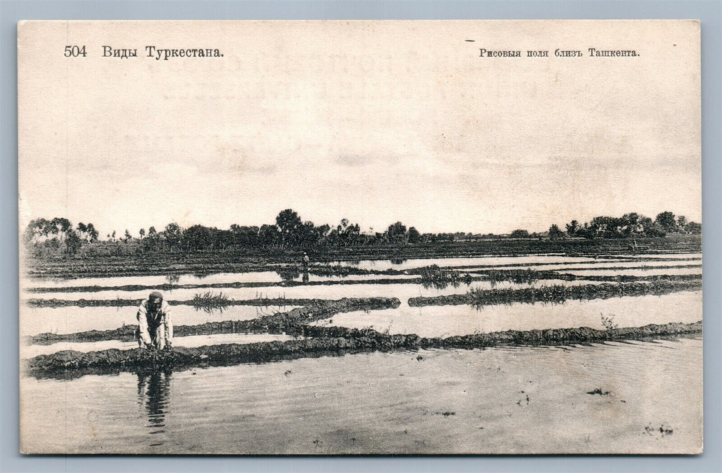 TURKESTAN near TASHKENT RUSSIAN ANTIQUE POSTCARD UZBEKISTAN