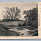 FLEMINGTON NJ ALONG THE NESHANIC ANTIQUE POSTCARD