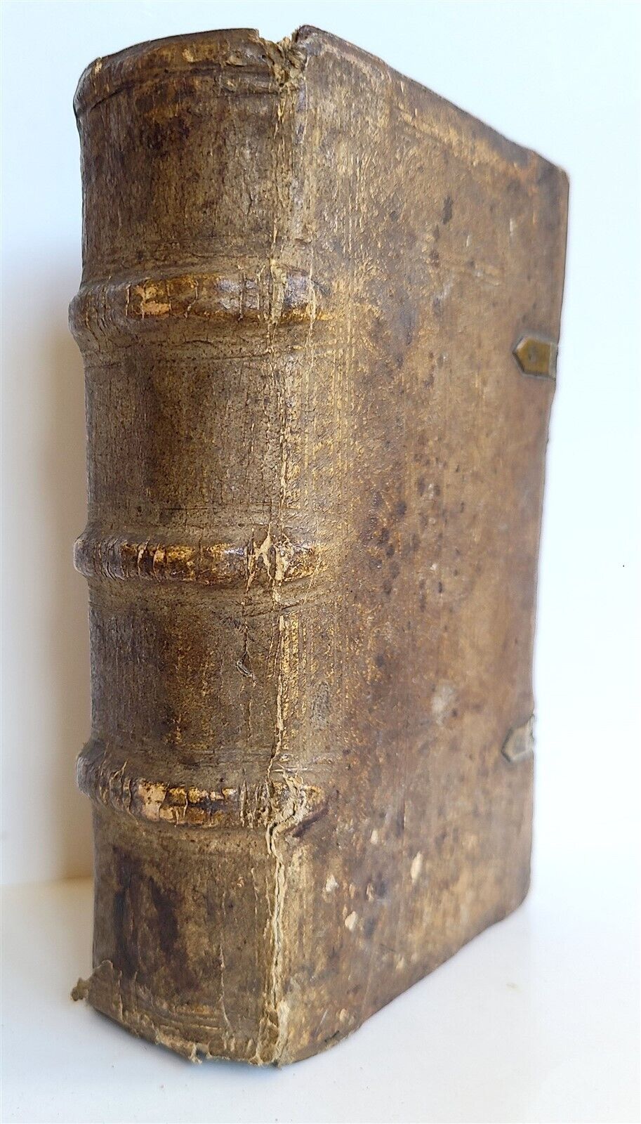 1564 ERASMUS of ROTTERDAM antique HAND TOOLED PIGSKIN BOUND 16th CENTURY