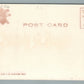 SUMMIT NJ DE FOREST AVE. ANTIQUE POSTCARD