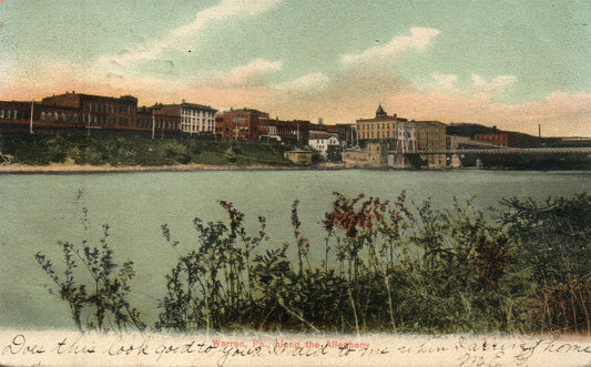 WARREN PA ALONG THE ALLEGHENY 1906 UNDIVIDED ANTIQUE POSTCARD