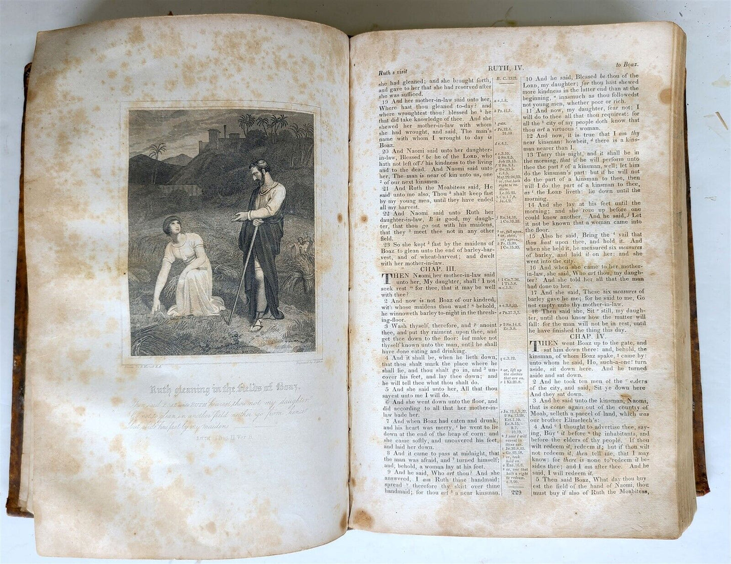 1838 BIBLE POLYGLOTT in ENGLISH antique AMERICANA Brattleboro ILLUSTRATED