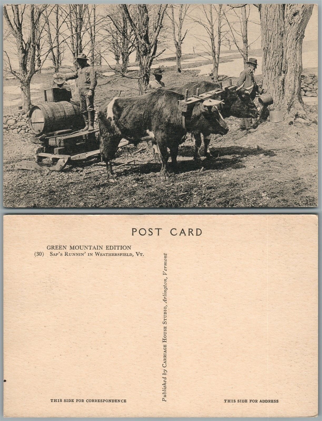 WEATHERSFIELD VT OX SLED ANTIQUE POSTCARD SAP'S RUNNIN'