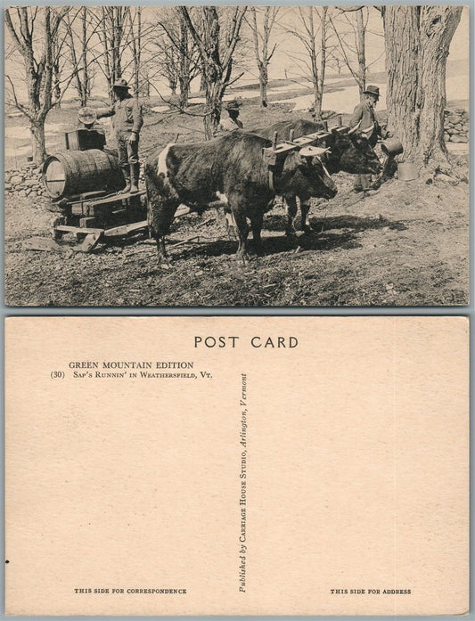 WEATHERSFIELD VT OX SLED ANTIQUE POSTCARD SAP'S RUNNIN'