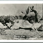 EXAGGERATED ROPING STEEL TEXAS JACK RABBIT 1941 VINTAGE REAL PHOTO POSTCARD RPPC