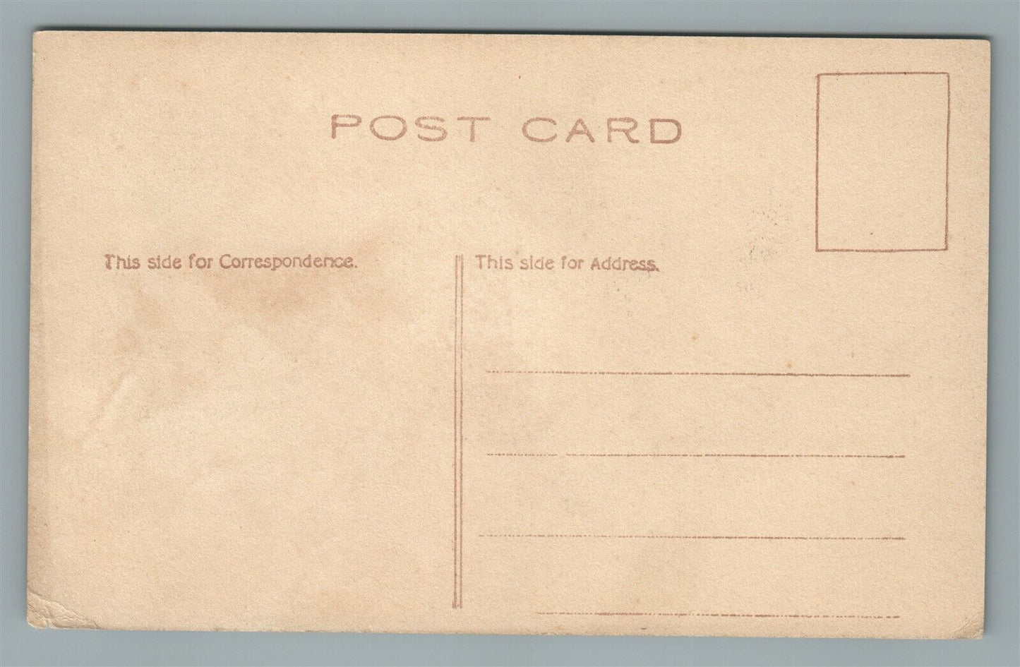 SOUTH BRANCH NJ RIVER VIEW ANTIQUE POSTCARD
