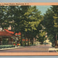 MAPLECREST NY SUGAR MAPLES VINTAGE POSTCARD