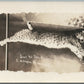 EAST ARLINGTON VT BOBCAT SHOT ANTIQUE REAL PHOTO POSTCARD RPPC