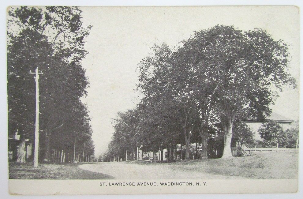 ANTIQUE POSTCARD - ST.LAWRENCE AVENUE WADDINGTON N.Y.