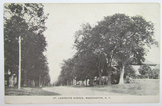 ANTIQUE POSTCARD - ST.LAWRENCE AVENUE WADDINGTON N.Y.