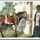 IRENE ROCK ASSINBOINE INDIAN ANTIQUE POSTCARD