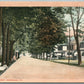 HONESDALE PA PARK STREET ANTIQUE POSTCARD