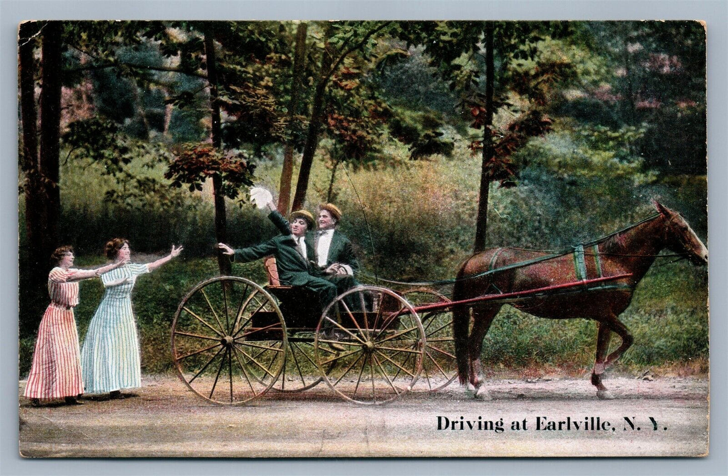 EARLVILLE NY DRIVING ANTIQUE POSTCARD