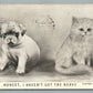 DOG & CAT ANTIQUE POSTCARD HONEST I HAVEN'T GOT THE NERVE