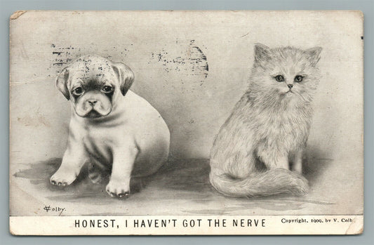 DOG & CAT ANTIQUE POSTCARD HONEST I HAVEN'T GOT THE NERVE