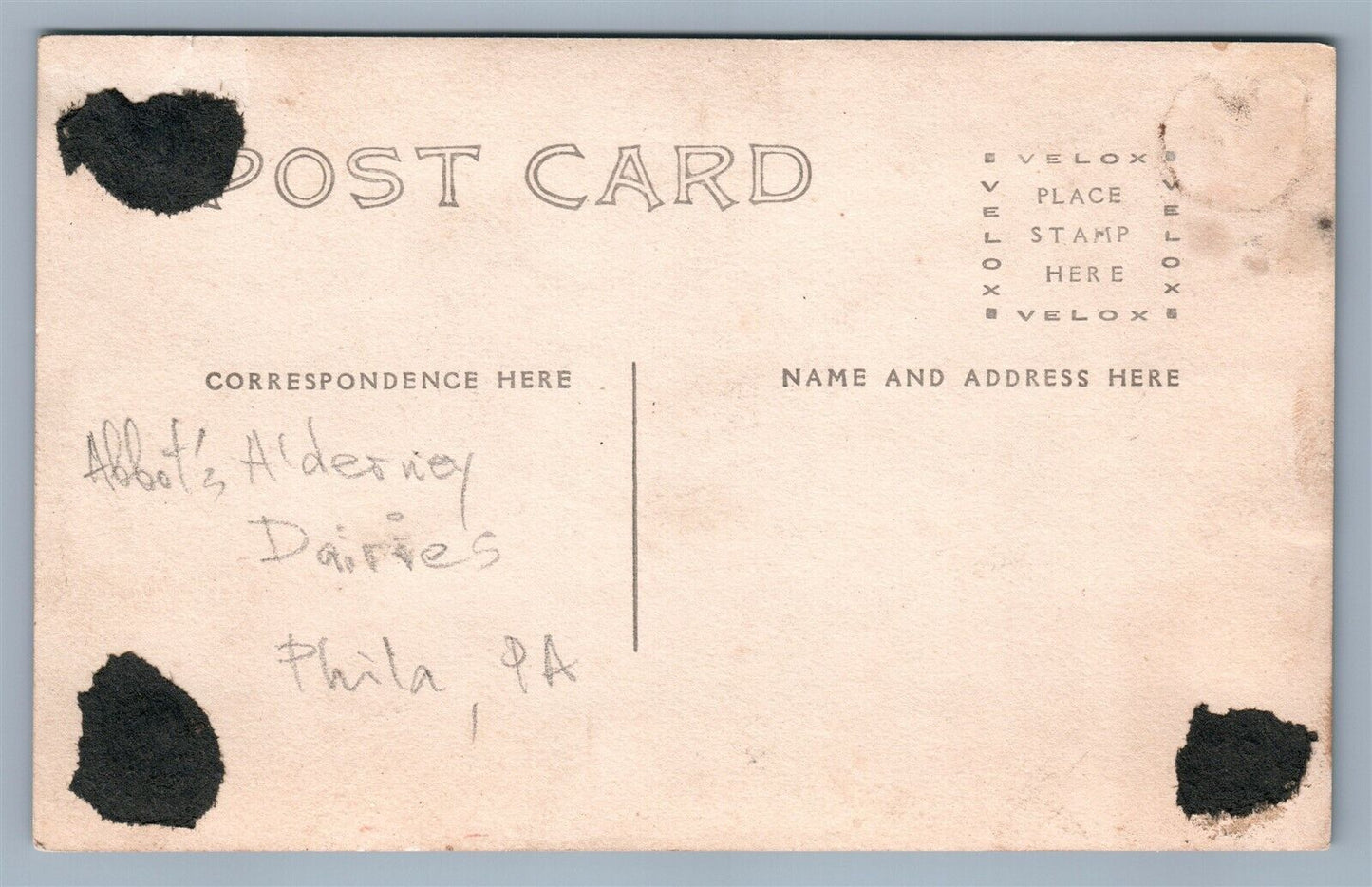 PHILADELPHIA PA ABBOT'S ALDERNEY DAIRIES WAGON ANTIQUE REAL PHOTO POSTCARD RPPC