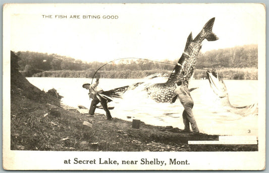 SECRET LAKE SHELBY MT FISHING EXAGGERATED ANTIQUE REAL PHOTO RPPC PHOTOMONTAGE