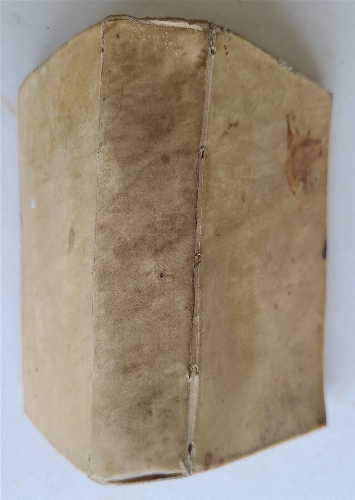 1643 ARISTOTLE Aliorumque problemata ANTIQUE vellum binding