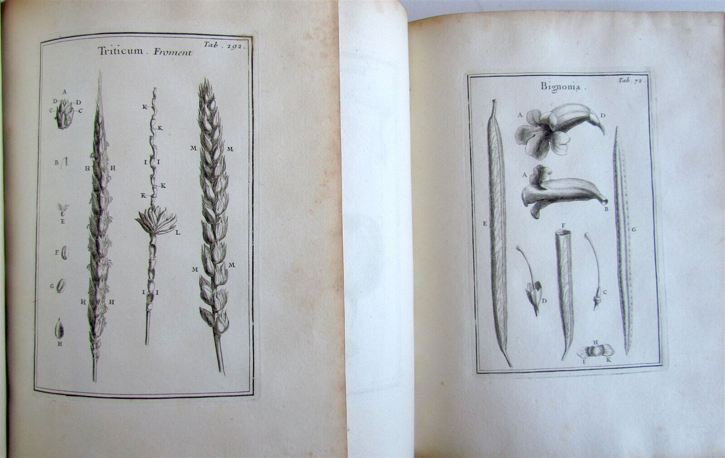 1700 BOTANY ILLUSTRATED 3 VOLUMES TOURNEFORT INSTITUTIONES REI HERBARIAE antique