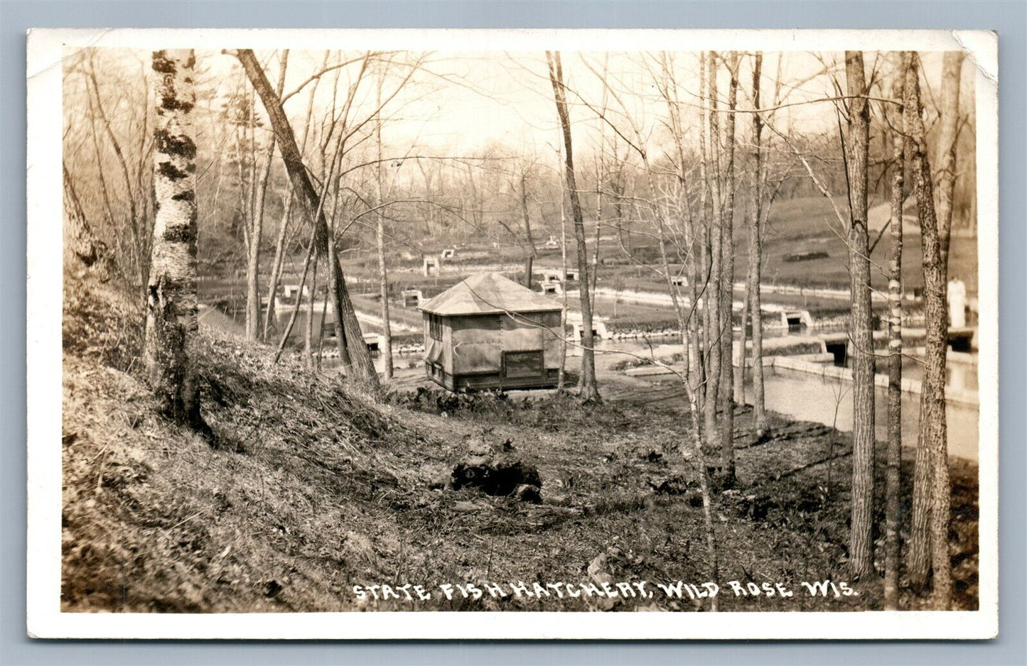 WILD ROSE WI STATE FISH HATCHERY VINTAGE REAL PHOTO POSTCARD RPPC